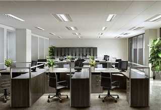 贵州省酱香型白酱酒销售